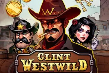 Bangladesh cricket fan checking series fixtures on a mobile phone